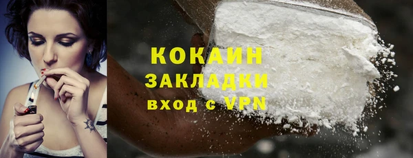 сатива Тавда