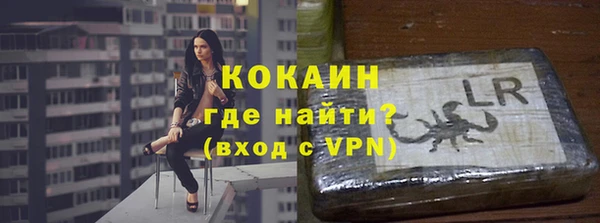 индика Сясьстрой