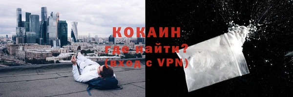 сатива Тавда