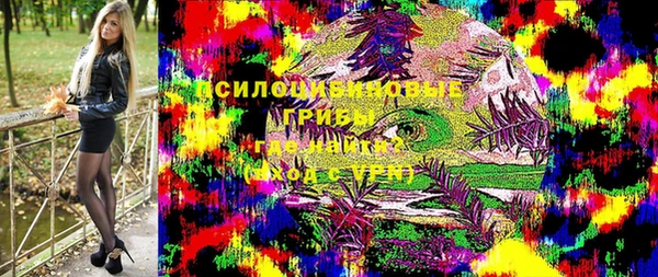 индика Сясьстрой