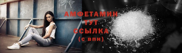 индика Сясьстрой