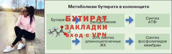 индика Сясьстрой