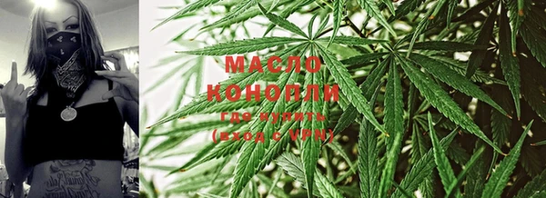 индика Сясьстрой