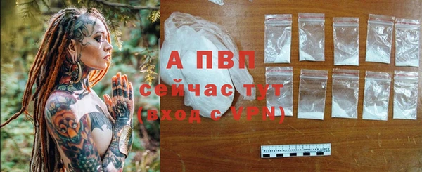 сатива Тавда