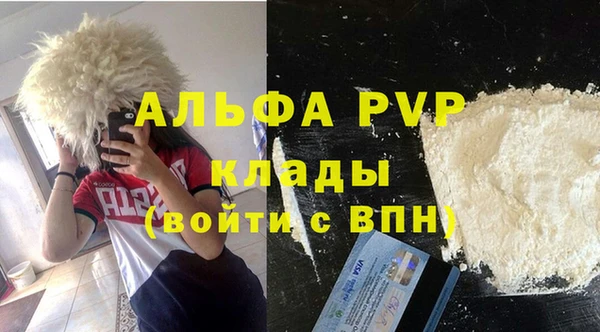 индика Сясьстрой
