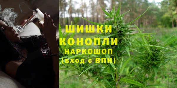 сатива Тавда