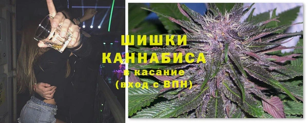 индика Сясьстрой