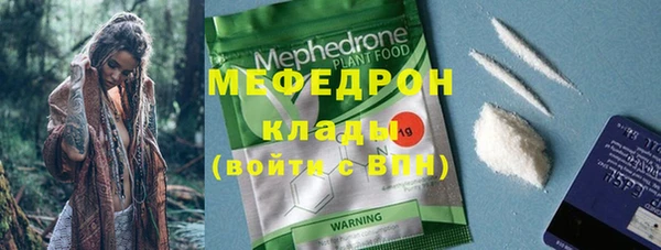 индика Сясьстрой