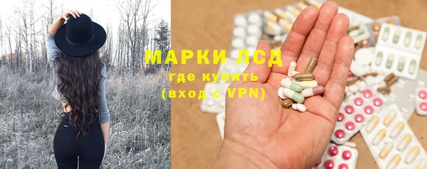 сатива Тавда