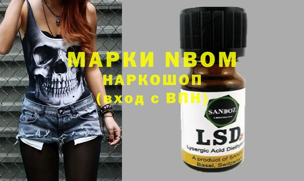 индика Сясьстрой
