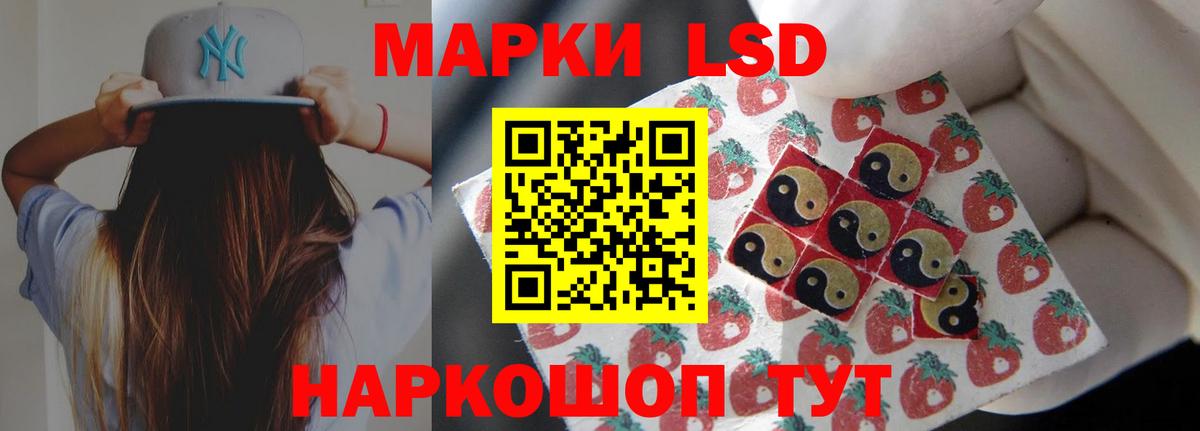omg маркетплейс  Вход с VPN  Брянск  LSD-25 экстази кислота 
