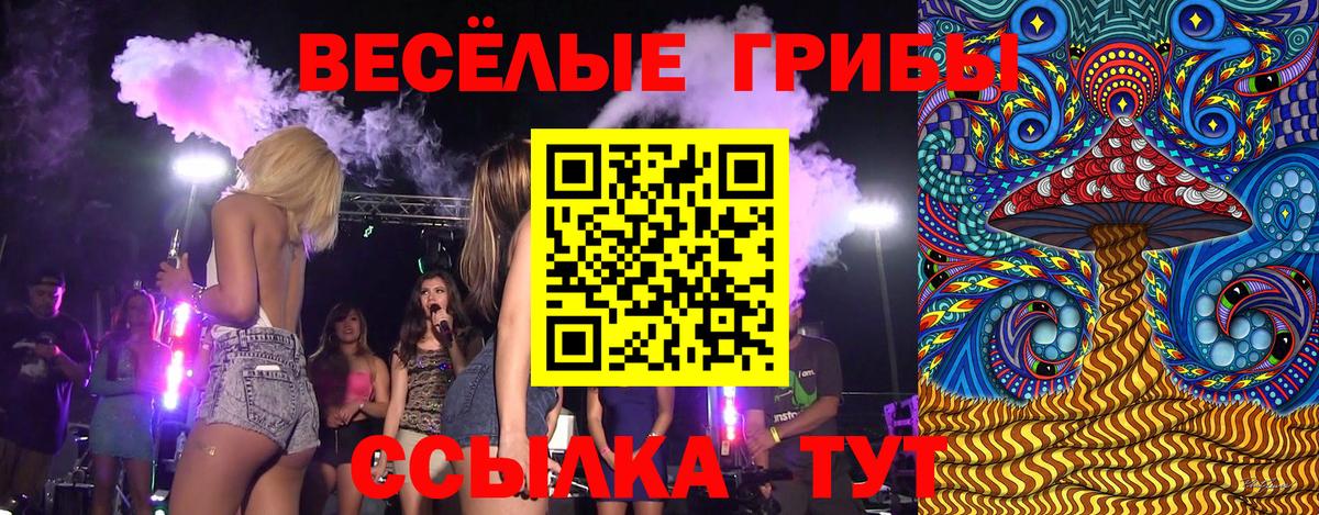 Псилоцибиновые грибы GOLDEN TEACHER Брянск
