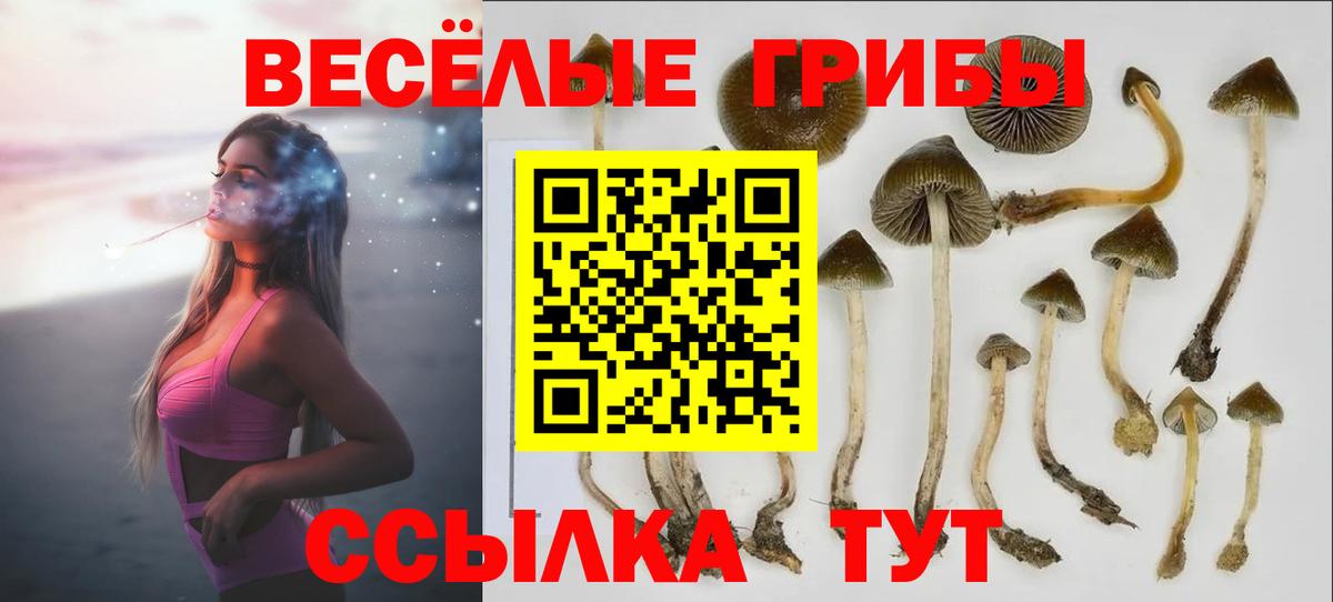 Галлюциногенные грибы Magic Shrooms  Вход с VPN  Брянск 