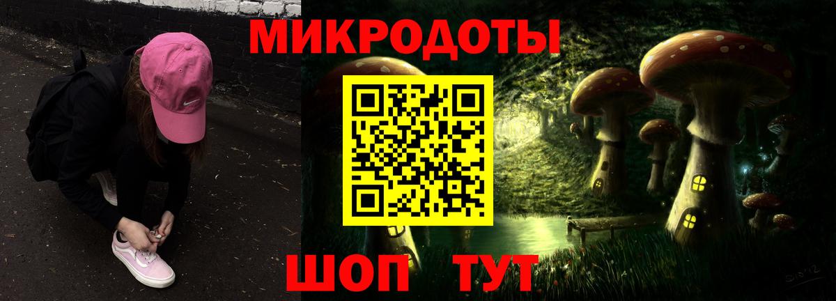 Галлюциногенные грибы Psilocybine cubensis  Брянск 